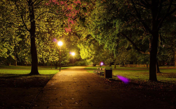 Jelentősen csökkenthetik a hőterhelést a városi zöldfelületek