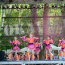 Városi Majális 2014. Délután 