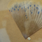 Emma Szalvétái - Kiállítás