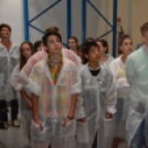 Üzemlátogatás a Nolato-nál (Fotó: Nagy Mária)