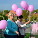 Lajta hídi séta 2015 (fotó: Patács Judit)