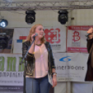 Szigetköz ízei, Vármegye borai Fesztivál (vasárnap) (Fotó: Horváth Attila)