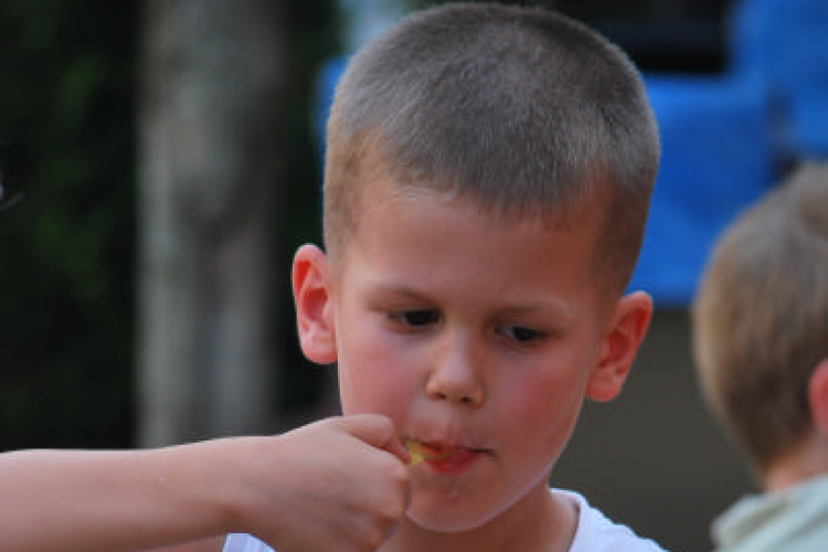 KULT - UTCA Hobbi nap (Fotó: Nagy Mária)