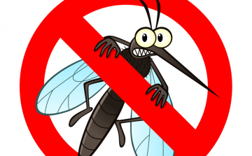 OKF: 260 településen irtják a szúnyogokat a héten