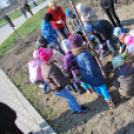 Faültetés óvodásokkal (Fotó: Nagy Mária)