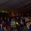 Szigetköz Ízei, Vármegye borai Fesztivál (péntek) (Fotó: Horváth Attila)