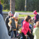 Faültetés a Nolato-nál (Fotó: Nagy Mária)