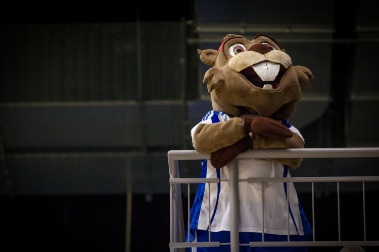 Bérletújítás az új szezonra - ajándékkal! 