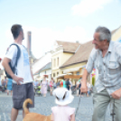 Kult-Utca fesztivál (Fotó: Nagy Mária)