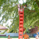 Hédervári sport és egészségnap (Fotó: Nagy Mária)