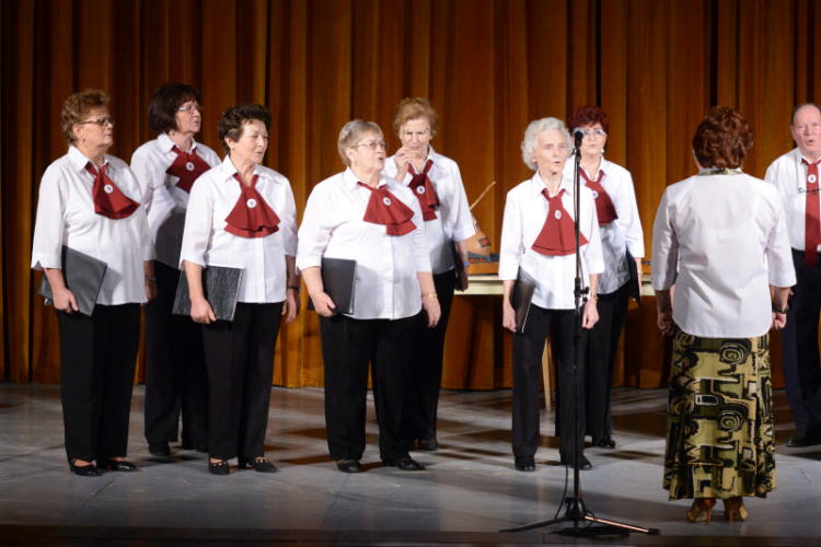 Nyugdíjas Ki-Mit-Tud I. Elődöntő 2014