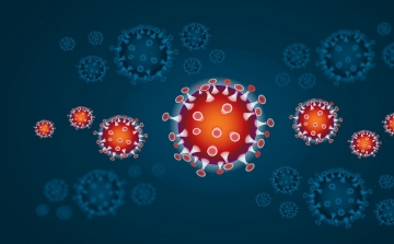 Jelentősen csökkent a koronavírus-fertőzés terjedésének mértéke Ausztriában