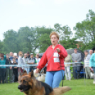 CAC kutyakiállítás (Fotó: Nagy Mária)