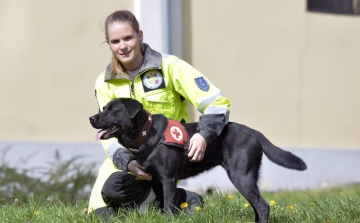 Magyar eb a világ legjobb mentőkutyái között