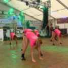 Szigetköz ízei, Vármegye borai Fesztivál (vasárnap) (Fotó: Horváth Attila)