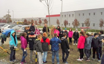 Kőrisfacsemetéket ültettek a diákok a Nolato telephelyén 