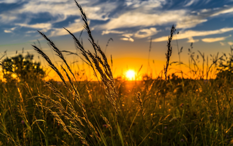 Meteorológia: nyáriasan meleg idő lesz május 1-jén