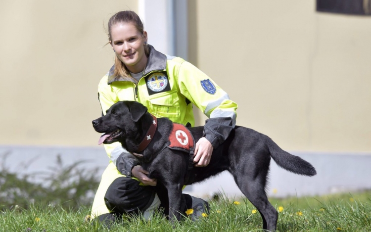 Magyar eb a világ legjobb mentőkutyái között