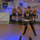 Szigetköz ízei, Vármegye borai Fesztivál (vasárnap) (Fotó: Horváth Attila)