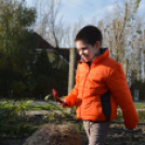 Faültetés a Nolato-nál (Fotó: Nagy Mária)