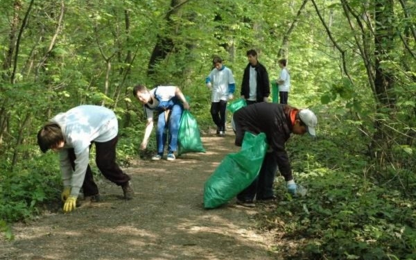 Takarítás a Wittmann parkban 