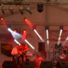 Szigetköz Ízei, Vármegye borai Fesztivál (péntek) (Fotó: Horváth Attila)