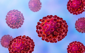 Koronavírus - Emmi: megkapták a köznevelési intézmények a következő tanévre vonatkozó járványügyi protokollt