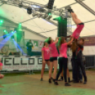 Szigetköz ízei, Vármegye borai Fesztivál (vasárnap) (Fotó: Horváth Attila)