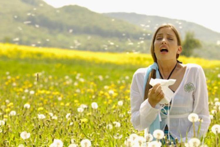 A jó idő a pollenszórást is beindította